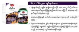 Fame_Black Ginger (ဂျင်းနက်ဆေး)