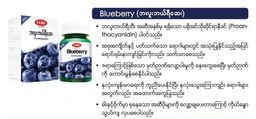 Fame_Blueberry (ဘလူးဘယ်ရီဆေး)