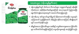 Fame_Moringa (ဒန့်ဒလွန်ရွက်ဆေး)