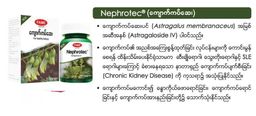 Fame_Nephrotec (ကျောက်ကပ်ဆေး) 