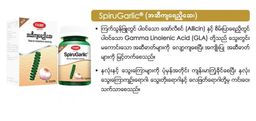 Fame_Spirulina (စိမ်းပြာရေညှိ) Collection 