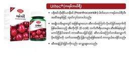 Fame_Uritec (Cranberry)