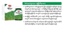 Fame_Wheatgrass (ဂျုံမြက်နုဆေး)