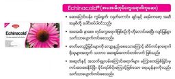 Fame_Echinacold (အအေးမိတုပ်ကွေးရောဂါကုဆေး)