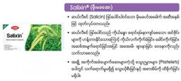 Fame_Salixin (မိုးမခဆေး)