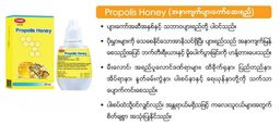 Fame_Propolis Honey (အနာကျက်ပျားကော်ဆေးရည်)