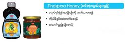 Fame_Tinosopra Honey (ဆင်တုံးမနွယ်ပျားရည်)