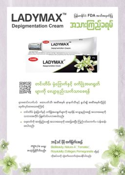 Fame_Ladymax Depigmentation Cream 