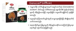 Fame_Ganocan (လင်ဇီးဆေး)