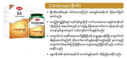 Fame_Cordyceps (ရှီးပဒီးဆေး)
