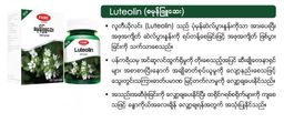 Fame_Luteolin (စမုန်ဖြူဆေး)