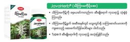 Fame_Javaherb (သိကြားမကိုဋ်ဆေး)