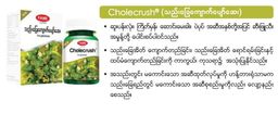 Fame_Cholecrush (သည်းခြေကျောက်ပျော်ဆေး)