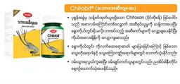 Fame_Chitobit (သဘာဝအဆီကျဆေး)