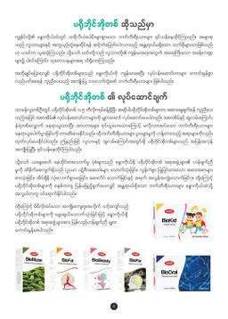 Fame_ProBiotic Collection 