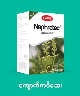 Fame_Nephrotec (ကျောက်ကပ်ဆေး) 