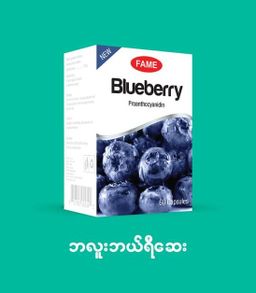 Fame_Blueberry (ဘလူးဘယ်ရီဆေး)