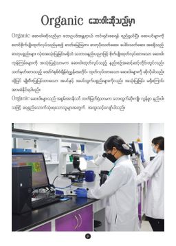 Fame_Cholecrush (သည်းခြေကျောက်ပျော်ဆေး)