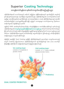 Fame_Cholecrush (သည်းခြေကျောက်ပျော်ဆေး)