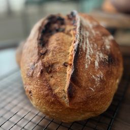 Sourdough