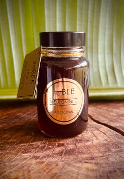 Stingless Bee Honey 'Rich'