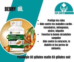 Berry oil (Anti-chimique, ulcère, hépatite, cataracte,120 comprimés)
