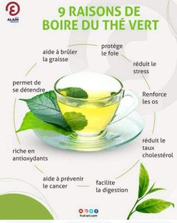 Thé Vert constipation et mauvaise digestion (Régularise tout problème lié à la constipation, 15 sachets)