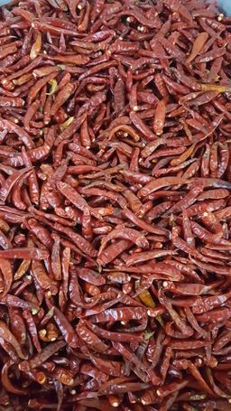 ဒေါ်​ဒေါ်အိလက်ရာ_ဟင်းချက်မှုန့်  Collection