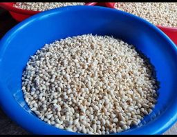 ဒေါ်ဒေါ်အိလက်ရာ_ကြက်သွန်ဖြူဥတလုံးသနပ် 