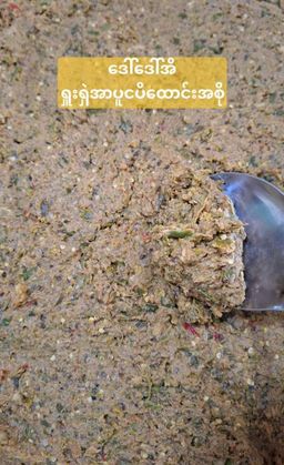 ဒေါ်ဒေါ်အိလက်ရာ_ငပိ Series