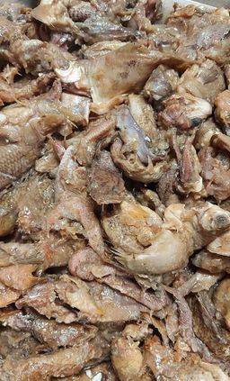 ဒေါ်ဒေါ်အိလက်ရာ_ငပိ Series