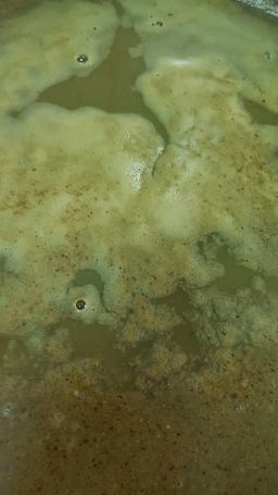 ဒေါ်ဒေါ်အိလက်ရာ_ငပိ Series