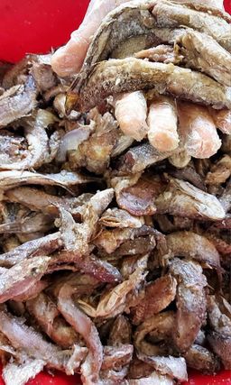 ဒေါ်ဒေါ်အိလက်ရာ_ငပိ Series