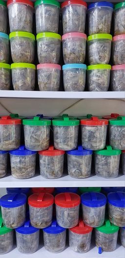 ဒေါ်ဒေါ်အိလက်ရာ_ငပိ Series