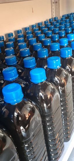 ဒေါ်ဒေါ်အိလက်ရာ_ငါးငံပြာရည်