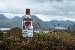 Gin Triple Bottle promo