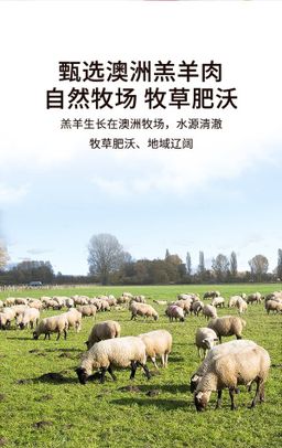 澳洲羔羊肉卷 1kg 冷链 预定（预计1月初到）