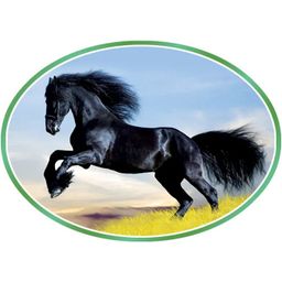 Black Horse_ပုဂံညောင်ဦး ပုန်းရည်ကြီး