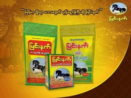 Black Horse_ပုဂံညောင်ဦး ပုန်းရည်ကြီး