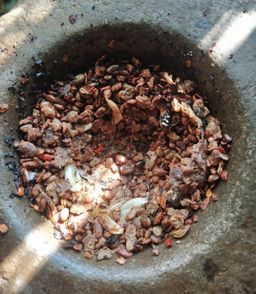 ကလေးသူပုန်းရည်ကြီး_ပဲပုတ်ခြောက်