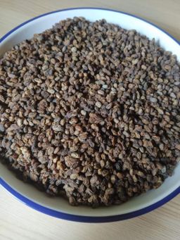 ကလေးသူပုန်းရည်ကြီး_ပဲပုတ်စေ့ခြောက်