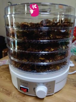 ကလေးသူပုန်းရည်ကြီး_ပဲပုတ်ခြောက်