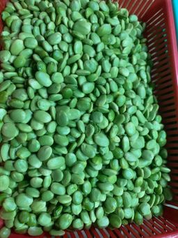 ကလေးသူပုန်းရည်ကြီး_မျောက်ငိုသီး 