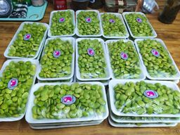 ကလေးသူပုန်းရည်ကြီး_မျောက်ငိုသီး 