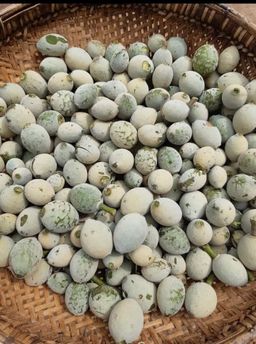 ကလေးသူပုန်းရည်ကြီး_ဇောင်းကြမ်းချဥ်