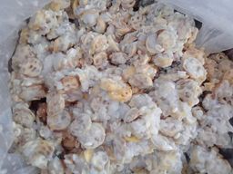 ကလေးသူပုန်းရည်ကြီး_ဇောင်းကြမ်းချဥ်