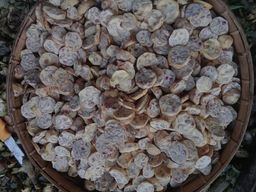 ကလေးသူပုန်းရည်ကြီး_ဇောင်းကြမ်းချဥ်