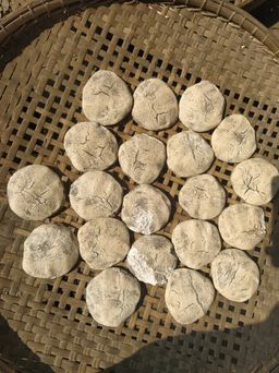 ကလေးသူပုန်းရည်ကြီး_တဆေး