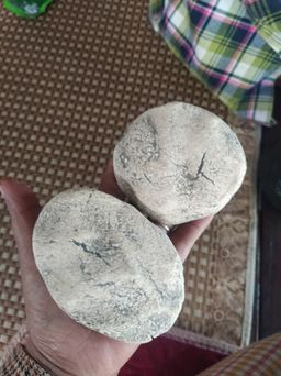 ကလေးသူပုန်းရည်ကြီး_တဆေး