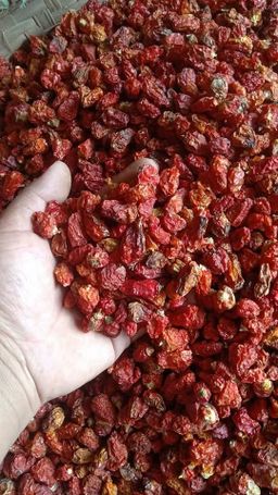 ကလေးသူပုန်းရည်ကြီး_ချင်းငြုတ်ခြောက်